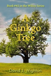 A Ginkgo Tree