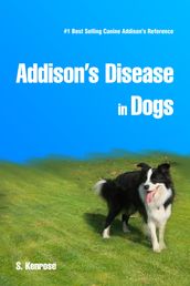 Addison s Disease in Dogs