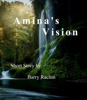 Amina s Vision