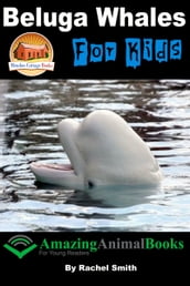 Beluga Whales For Kids