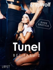 Bez Tabu 2: Tunel seria erotyczna
