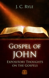 Bible Commentary - The Gospel of John