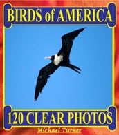 Birds of America. 120 Clear Photos.
