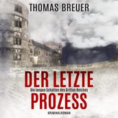Der letzte Prozess Die langen Schatten des Dritten Reiches: Ein Fall für Fabian Heller und Stefan Lenz (historischer Paderborn Krimi)