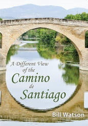A Different View of the Camino de Santiago
