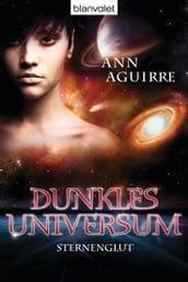 Dunkles Universum 2
