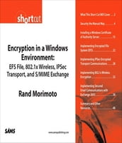 Encryption in a Windows Environment