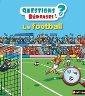 LE FOOTBALL - QUESTIONS 3/6ANS REPONSES