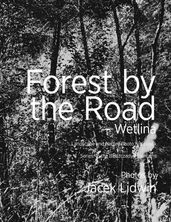 Forest by the Road: Wetlina. Landscape and Nature Photo Notebook