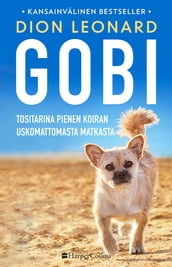 Gobi Tositarina pienen koiran uskomattomasta matkasta