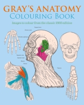 Gray s Anatomy Colouring Book