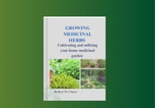 Growing medicinal herbs