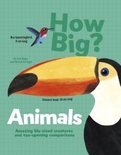 How Big? Animals