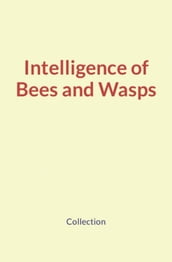 Intelligence of Bees and Wasps