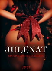Julenat erotisk novellesamling