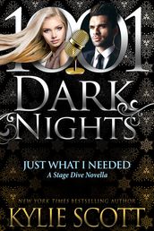 Just What I Needed: A Stage Dive Novella