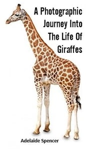 A Photographic Journey Into The Life of Giraffes