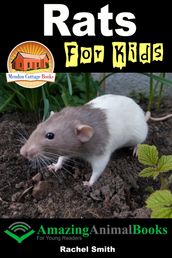 Rats For Kids