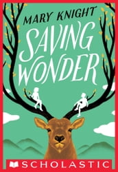 Saving Wonder