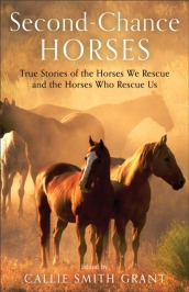Second¿Chance Horses ¿ True Stories of the Horses We Rescue and the Horses Who Rescue Us