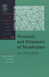 Structure and Dynamics of Membranes