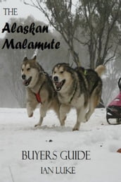 The Alaskan Malamute- A Buyer s Guide