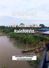 In The Heart of The Amazonia Rainforest 1