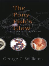 The Pony Fish s Glow