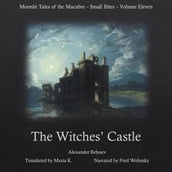 The Witches  Castle (Moonlit Tales of the Macabre - Small Bites Book 11)