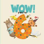 WOW! You re Six birthday book