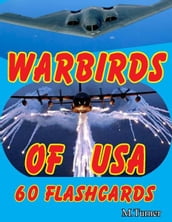 Warbirds of USA 60 Flashcards