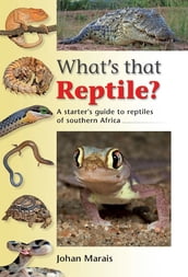 What s that Reptile?