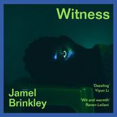 Witness: The stunning new short story collection  Brinkley s sentences are daggers  Raven Leilani