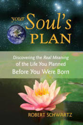 Your Soul s Plan