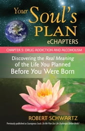 Your Soul s Plan eChapters - Chapter 5: Drug Addiction and Alcoholism