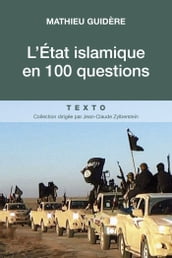 L État islamique en 100 questions
